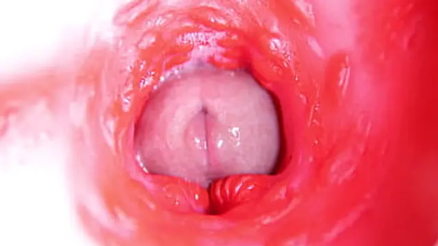 CAMERA INSERTED INTO WET PUSSET: EDGE OF CUM &mdash;  ULTIMATE INTERNAL ASMR 4K!